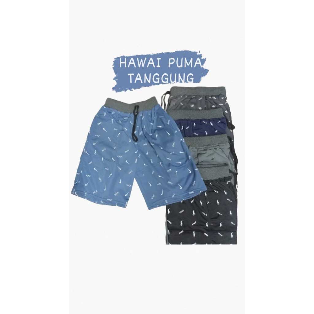 Celana Pendek Pria Hawai Anak Tanggung Hawai Pria Tanggung Celana Pendek Hawai Santai