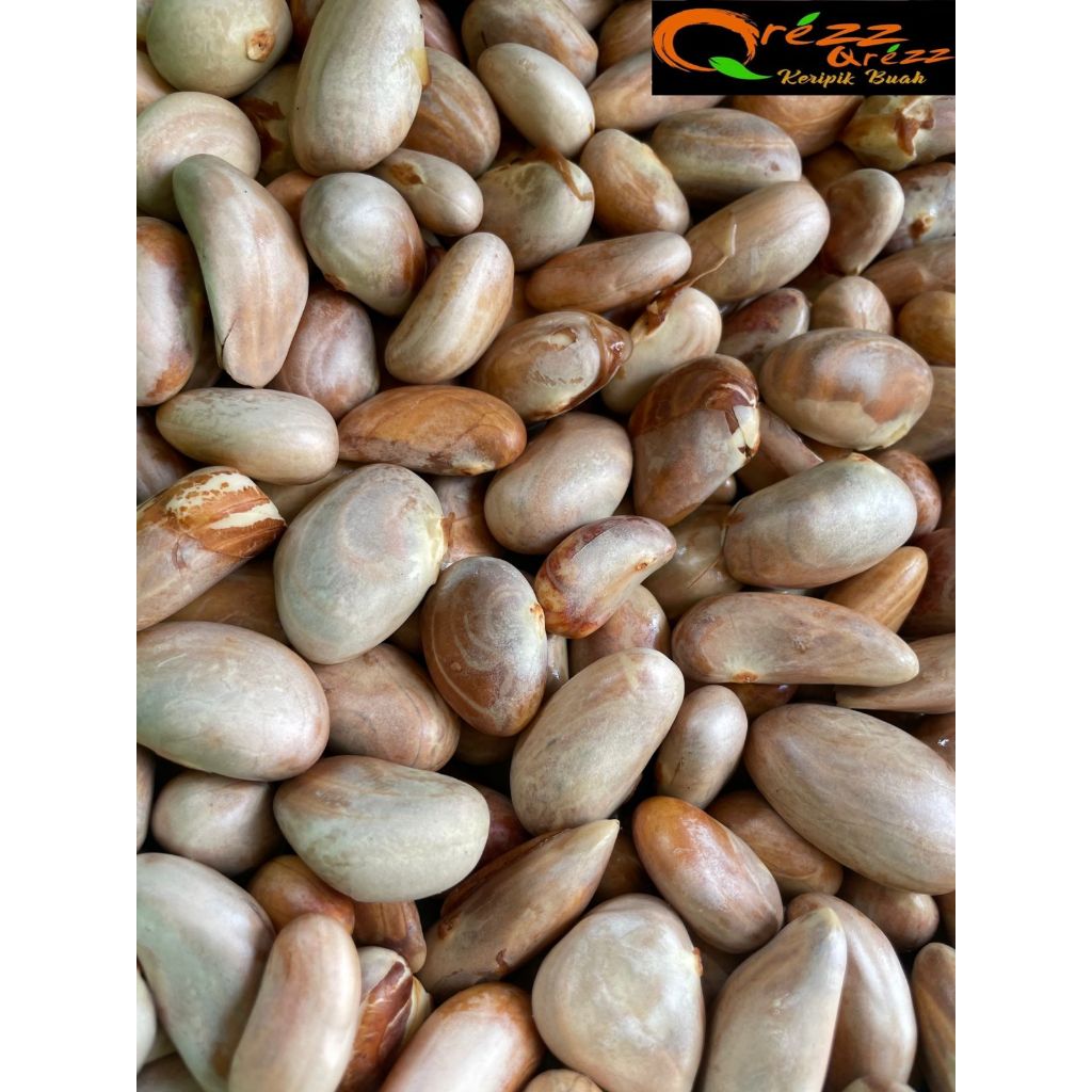 

BIJI BUAH NANGKA/BETON NANGKA 1 KG