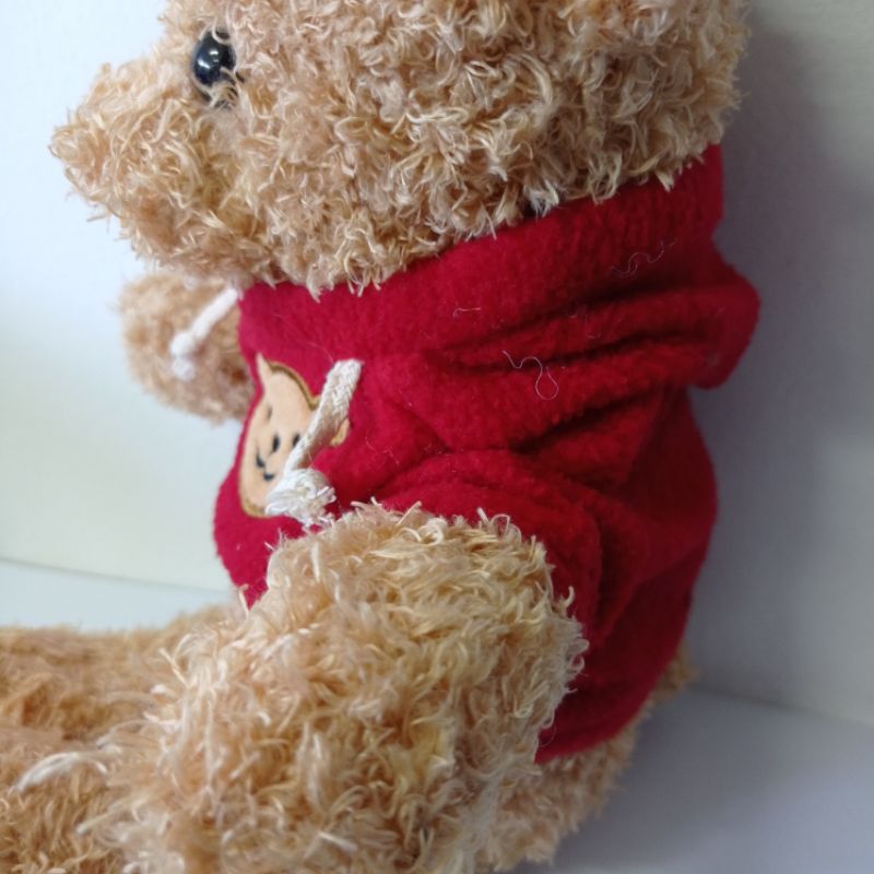 Hoodie Boneka Teddy Bear