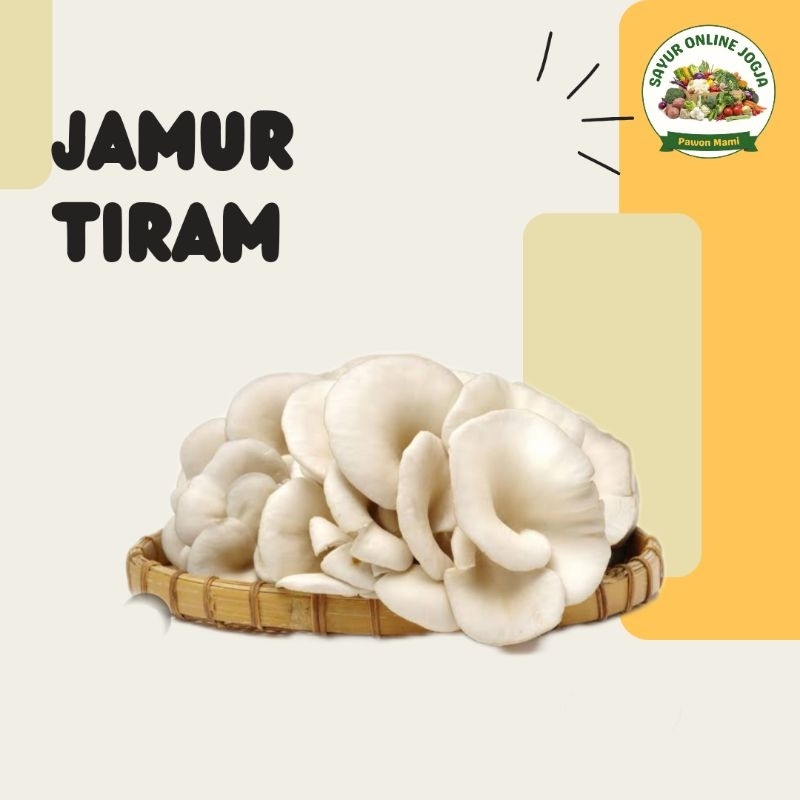 

Jamur tiram 100Gr - PAWON MAMI SAYUR ONLINE JOGJA