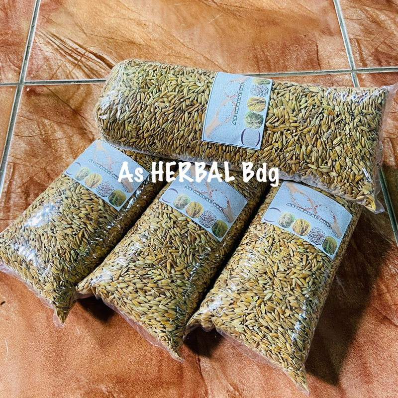 Benih ketan putih bibit padi ketan putih 500 gram-az