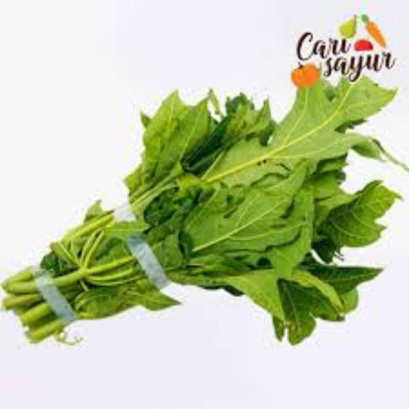 

daun pepaya/satu ikat