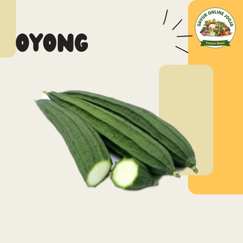 

Oyong gambas 220-250Gr - PAWON MAMI SAYUR ONLINE JOGJA