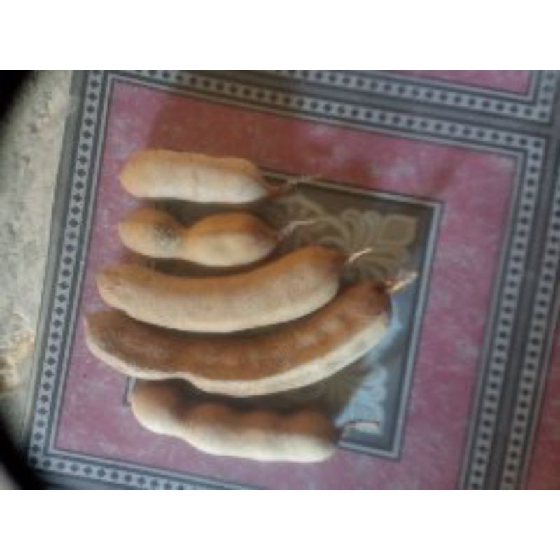 

asam Jawa matang 1kg