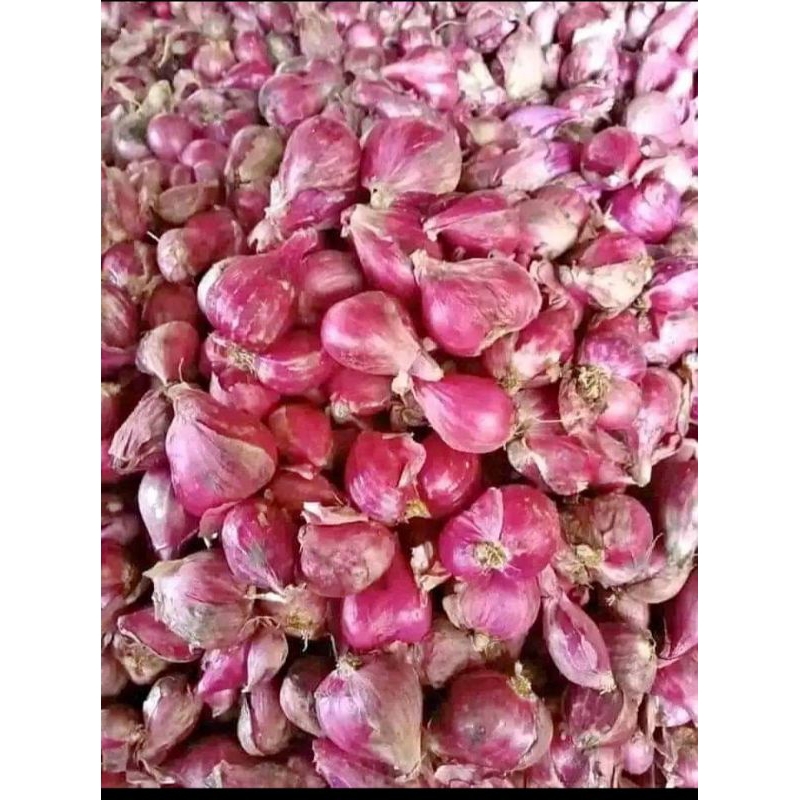 

Bawang merah brebes 500 gram