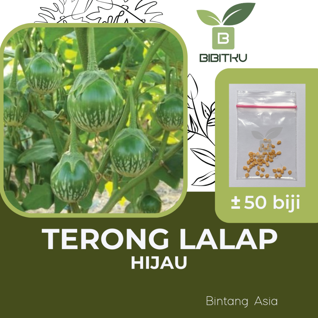 Benih Terong Lalap Hijau Kenari Bintang Asia