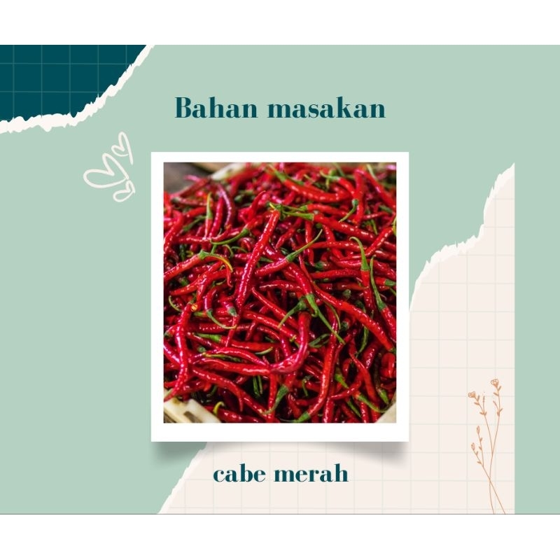 

CABE MERAH KERITING SAYURAN SEGAR PALEMBANG