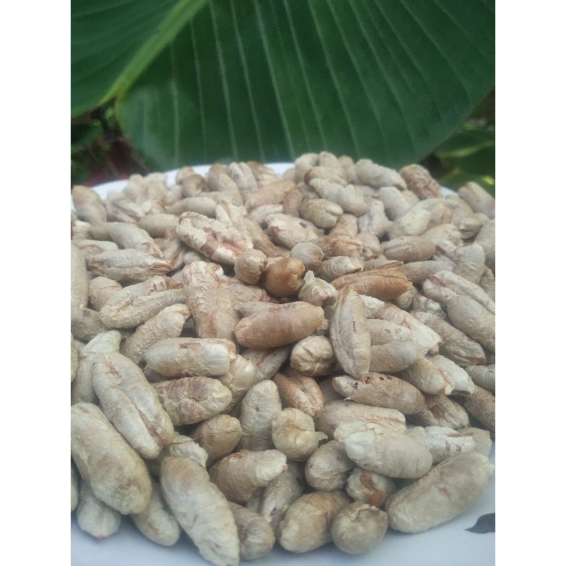 

biji kurma kering murah 500g-1kg