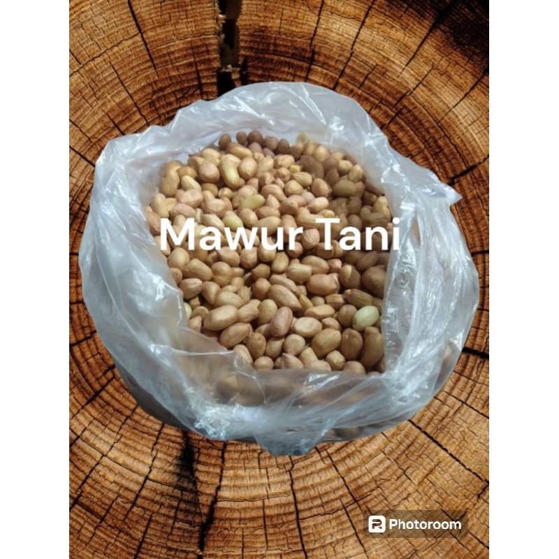 

kacang tanah kupas 1kg