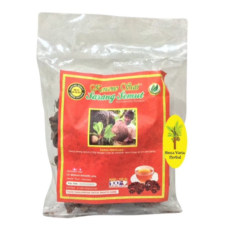 Sarang semut asli Papua, sarang semut, asli,sarang semut aur