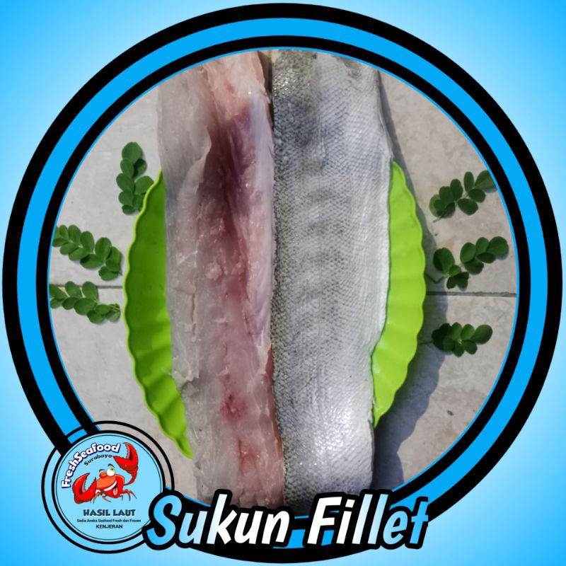 

SUKUN/BARAKUDA FILLET 1KG