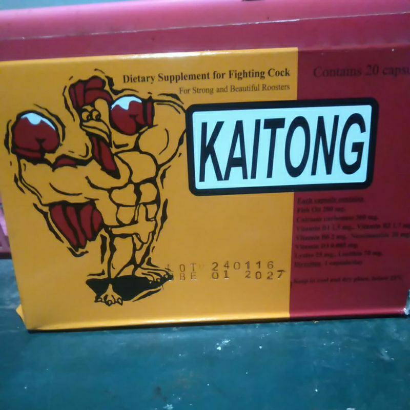 Kaitong Ayam Aduan Ori Thailand penambah stamina agresif mental tarung 5 kapsul