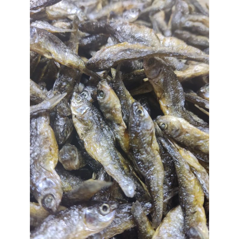 

Ikan Bilis Singkarak Kering - 100 Gr