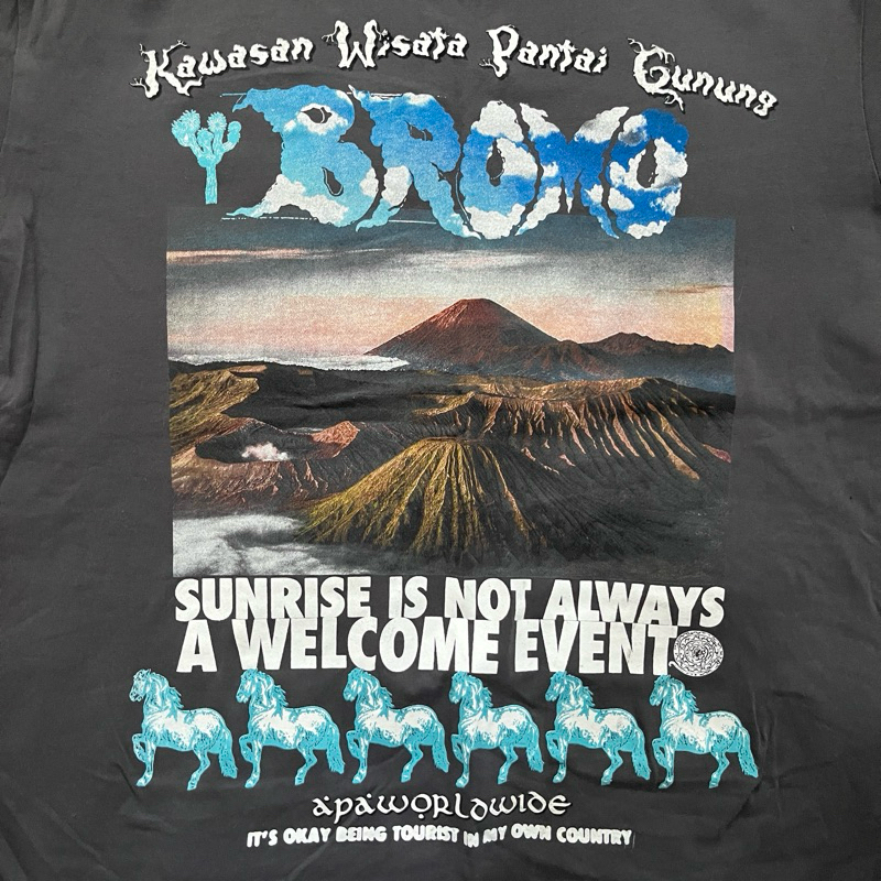 Apa Worldwide - Kawasan Wisata Pantai Gunung Bromo