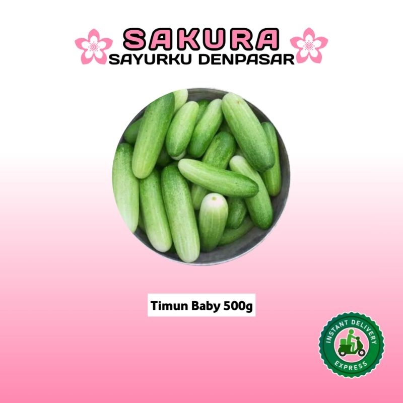 

Timun Baby - SAKURA