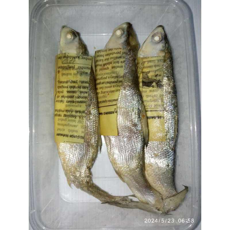 

Bandeng sedang 3 pcs