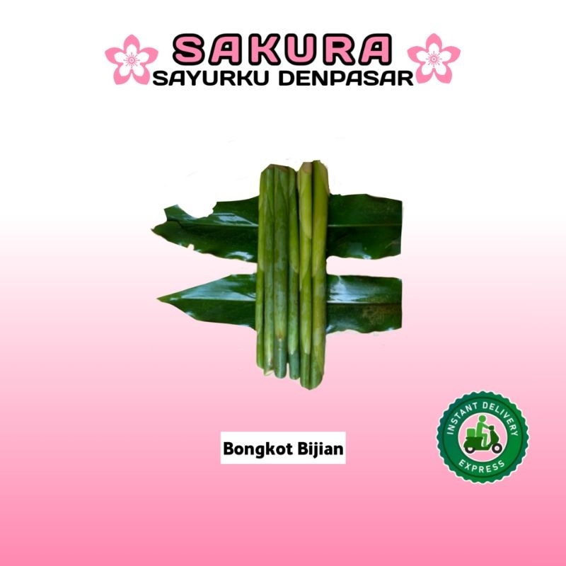 

kecombrang / Bongkot (Per Ikat 2 biji) - SAKURA