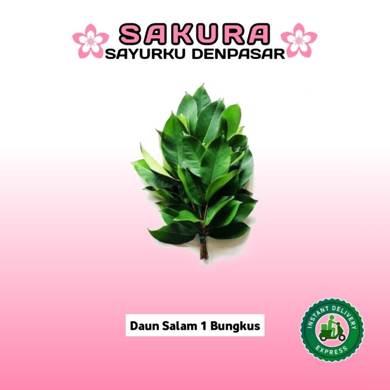 

Daun Salam Fresh - SAKURA