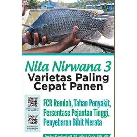 KODE I48Q AP 2  Nila Nirwana 3 Varietas Nila yang Paling Cepat Panen