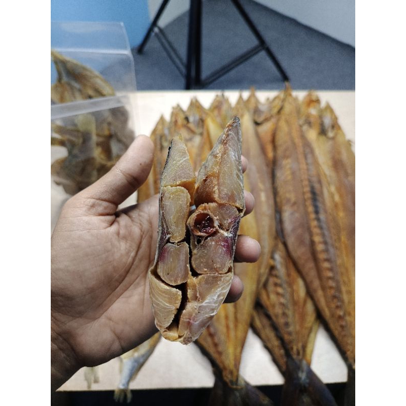 

Ikan Asin Tenggiri Daging Premium (1 Kg)