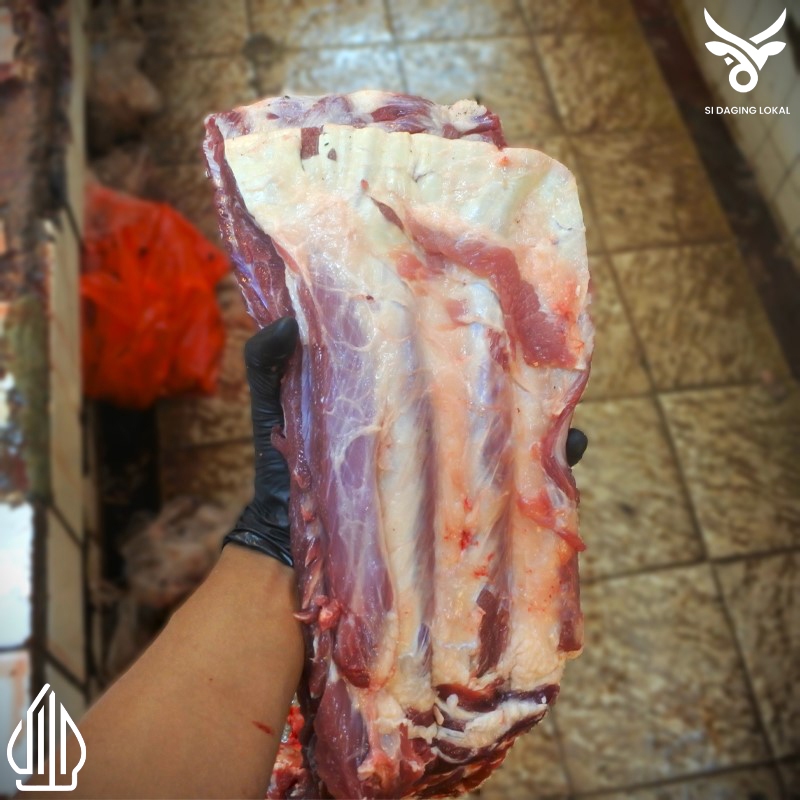 

Tulang Iga sapi bagian paha belakang - 1 kg