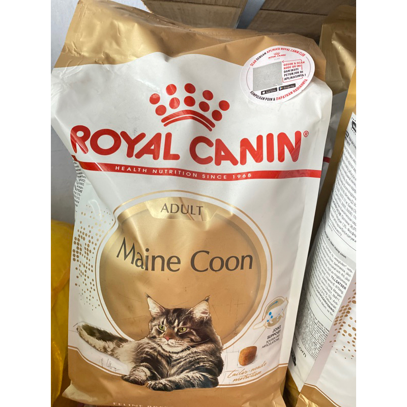 royal canin mainecoon adult