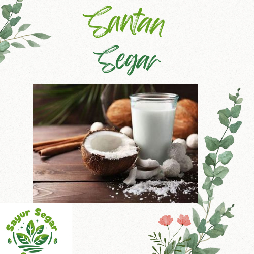 

Santan Segar 250 gram