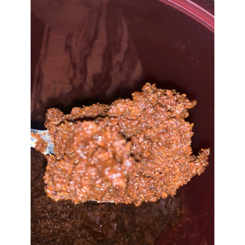 

KELAPA GONGSENG ANEUK