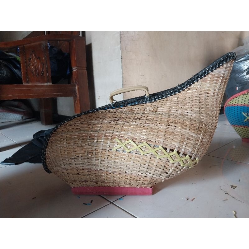 KISA KISO AYAM ROTAN MONCONG UKURAN JUMBO