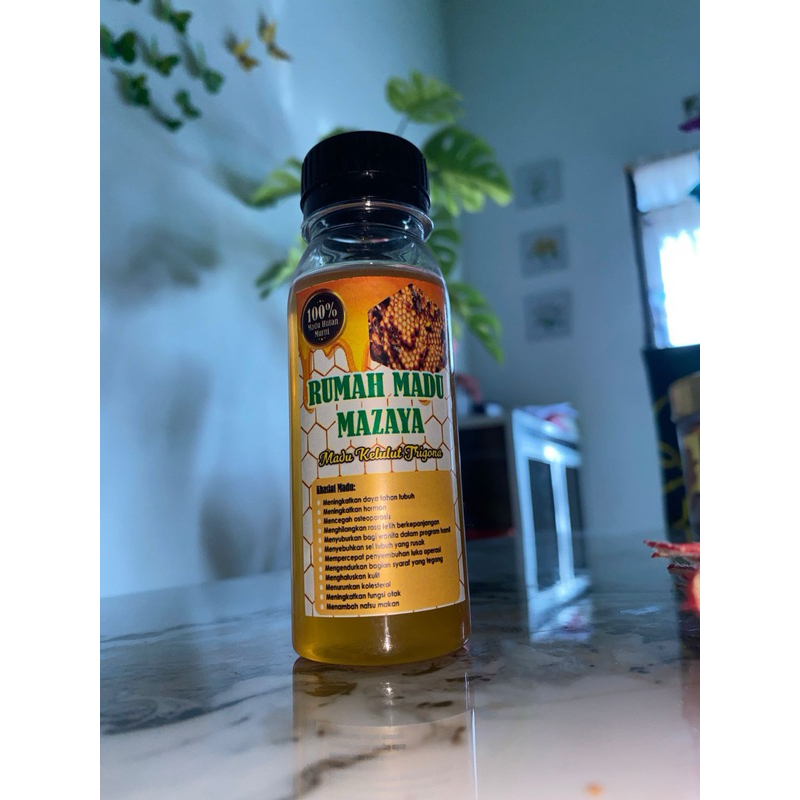 

rumah madu mazaya madu trigona kelulut kleceng thoracica