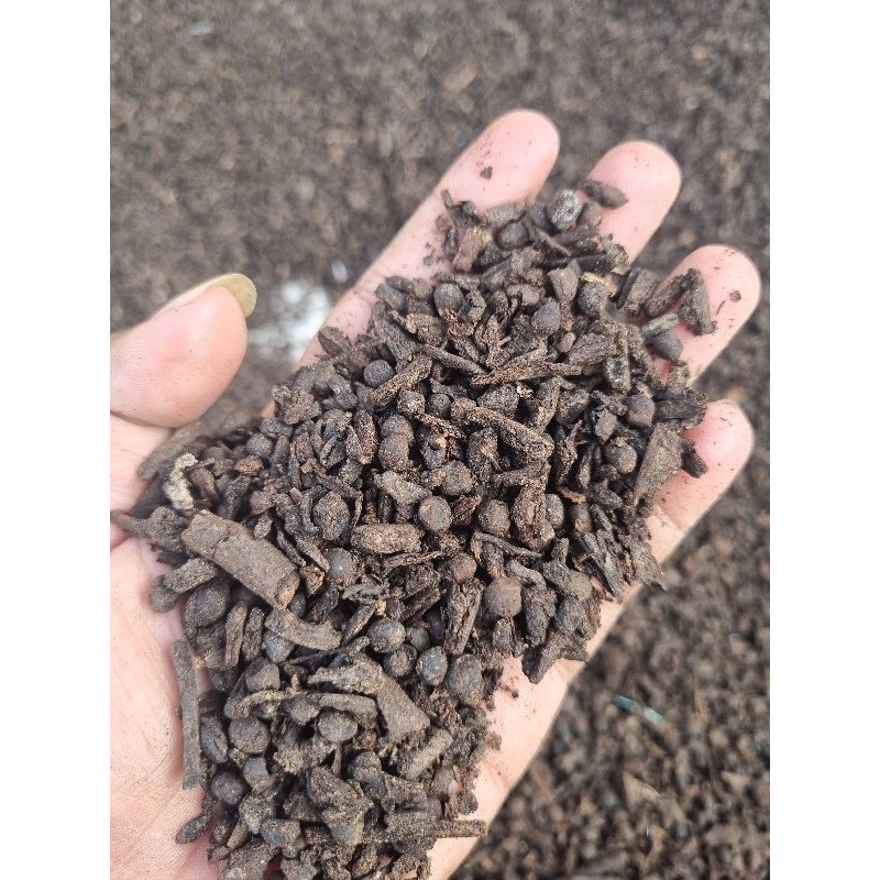 klenteng /kompos randu