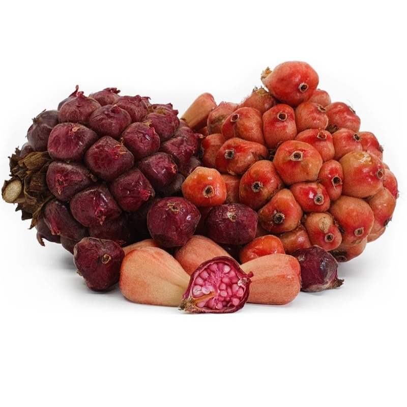 

buah honje 1kg