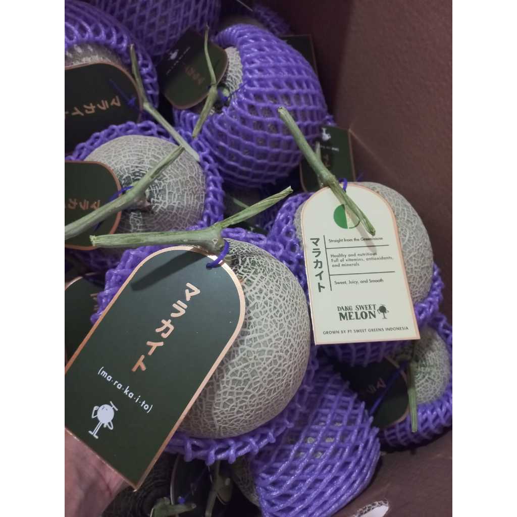 MELON IMPORT. MELON HIJAU JEPANG. MA.RA.KAI.TO MELON. MELON MARAKAITO JEPANG