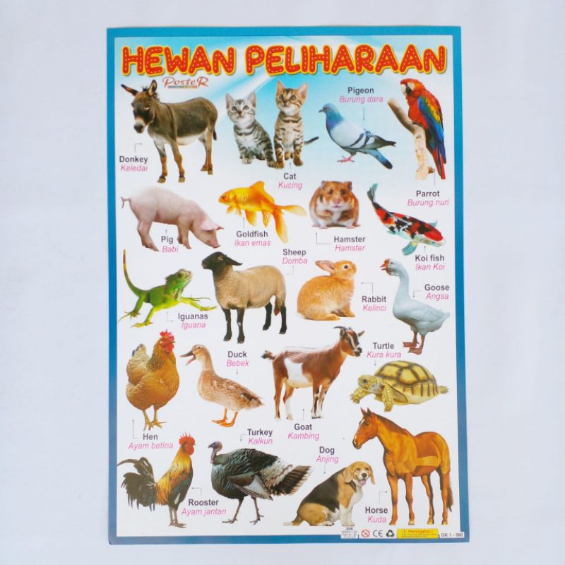 Poster anak edukasi hewan peliharaan