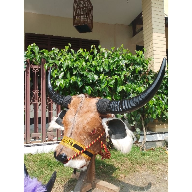 banteng keboan brang wetan