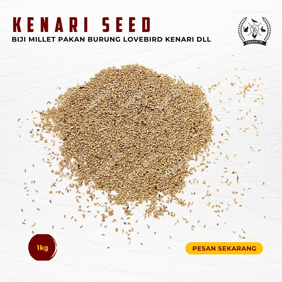 KENARI SEED REPACK 1 KG PAKAN KENARI MILET KENARI