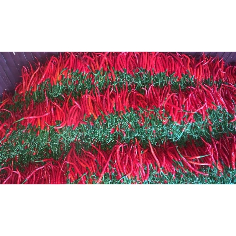 

Cabai Merah Keriting Segar 500gr