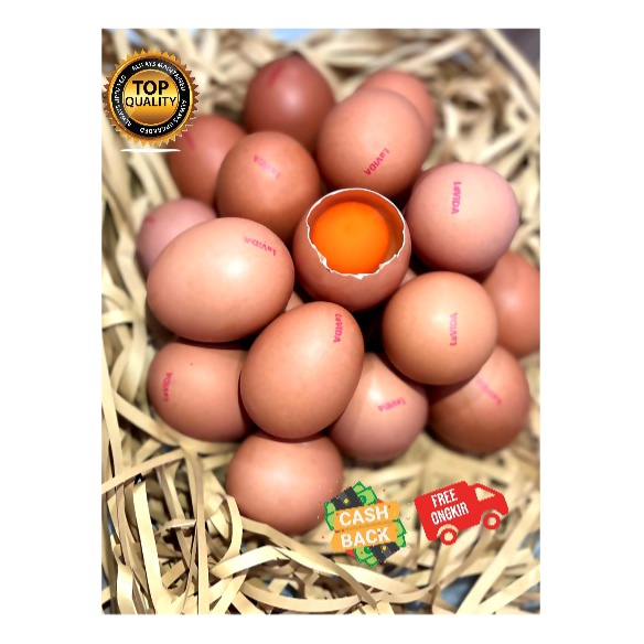 

Termurah Telur LaVIDA Omega 3 ASLI bukan Suntikan 3 butir1 TRAY