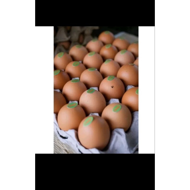 

Terlaris PAKET TELUR NEGRI OMEGA 3 BUTIR 1 TRAY