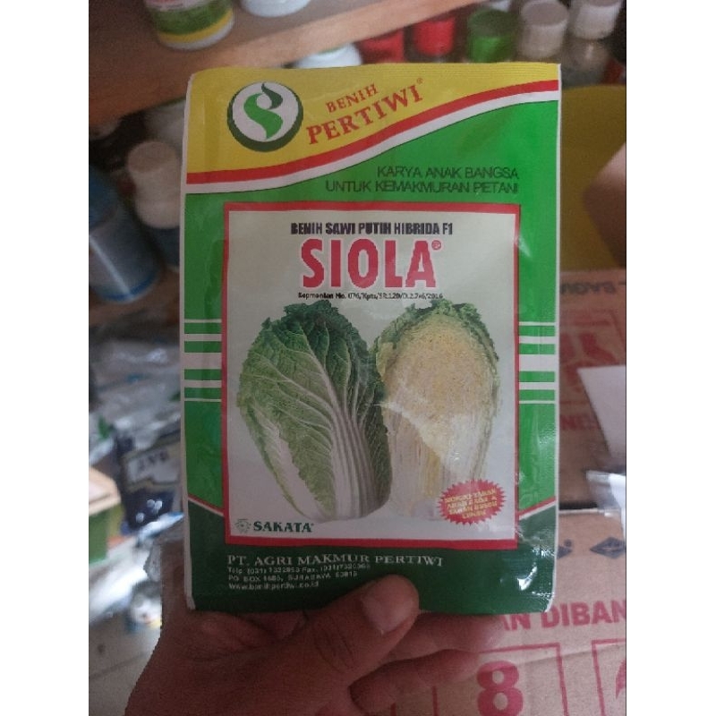 Benih sawi putih  F1 SIOLA