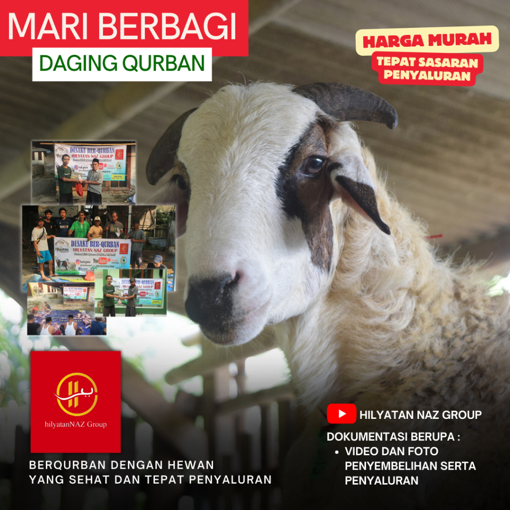 

kambing kurban sebar kurban kambing qurban sosial