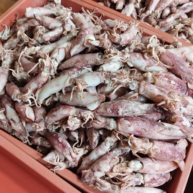 

Cumi Asiin 250 gr