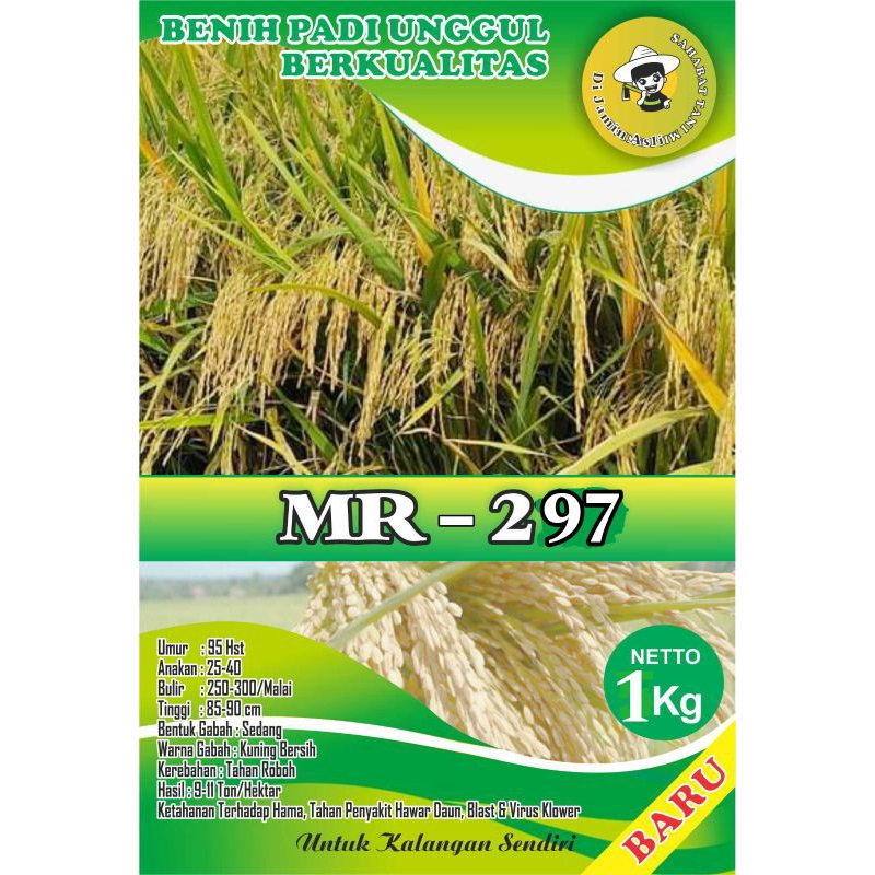 Benih Padi MR297 Original 1Kg