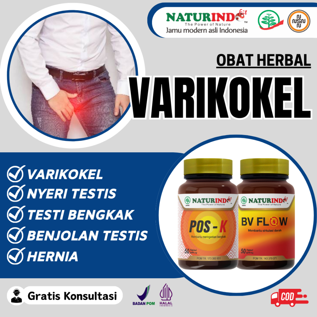 Obat Herbal Varikokel Varises Hernia Turun Berok Peranakan Hidrokel di Buah Zakar Bengkak Sebelah Un