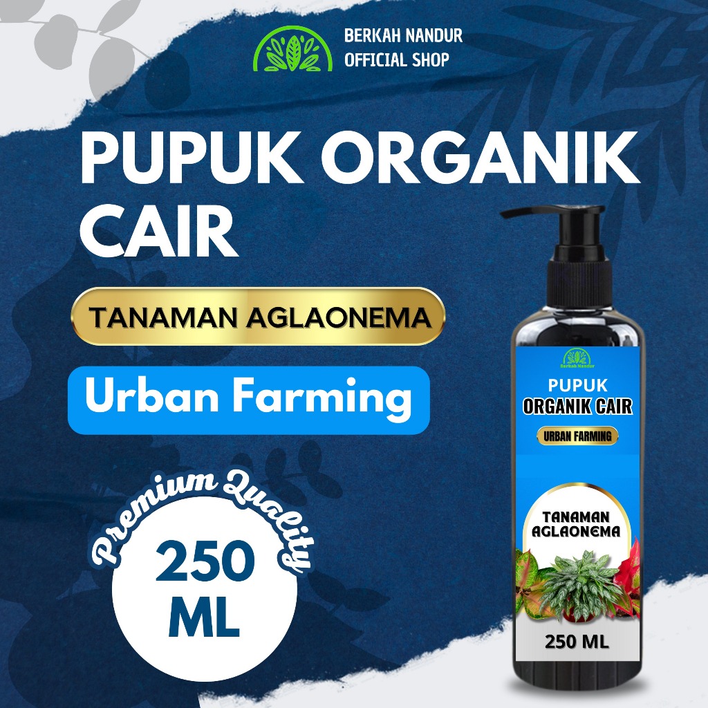 POC Aglaonema Pupuk Organik Cair Aglaonema Sri Rejeki