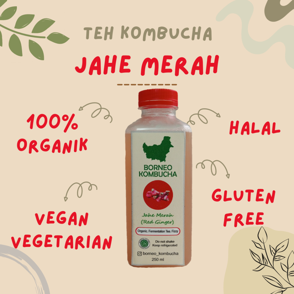 

BORNEO KOMBUCHA JAHE MERAH PROBIOTIK ORGANIK HALAL 250 mL