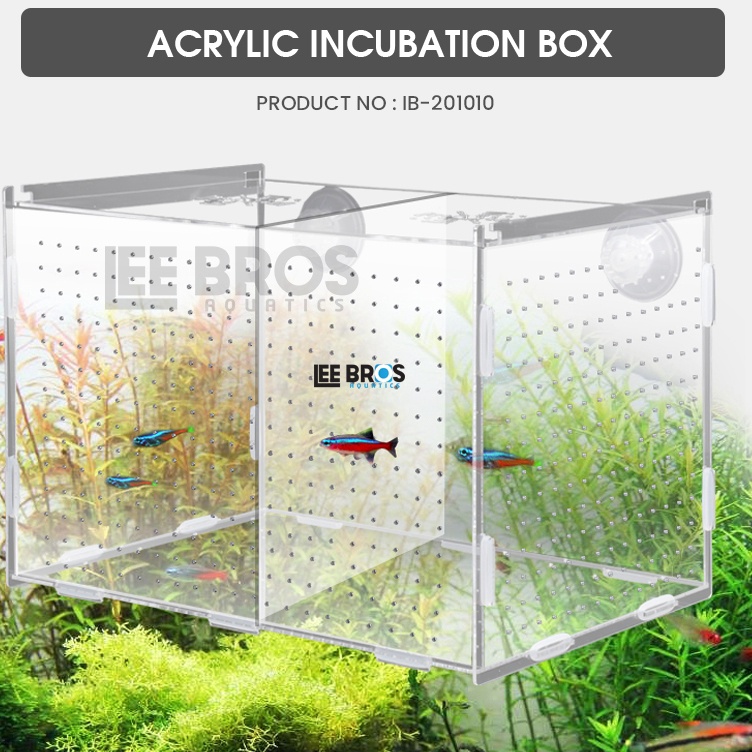 

Acrylic Incubation Box Isolation Box Akrilik Karantina ikan