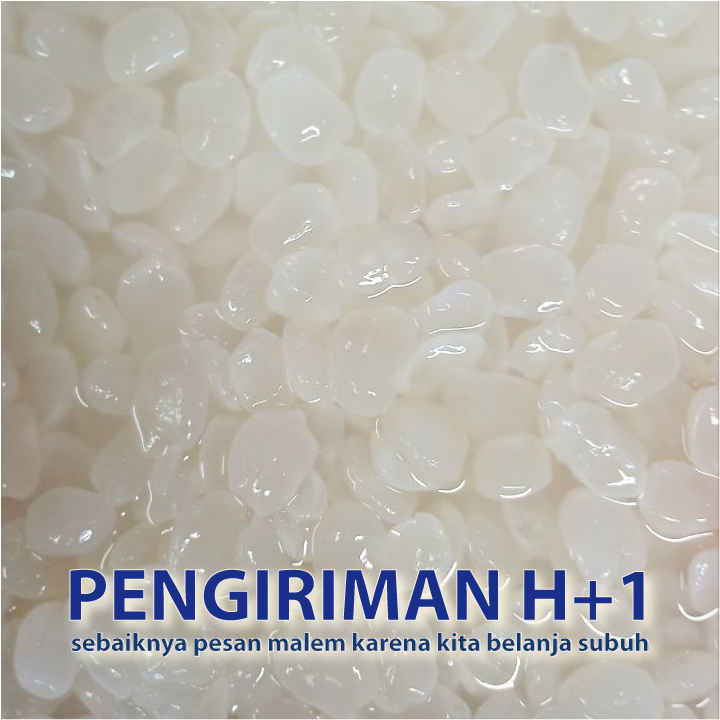 

Kolang kaling muda buah atap atep