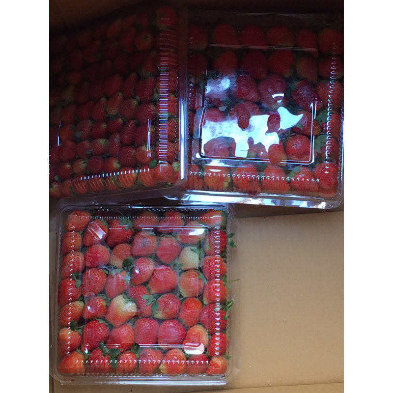 

Strawberry Fresh 1Kg