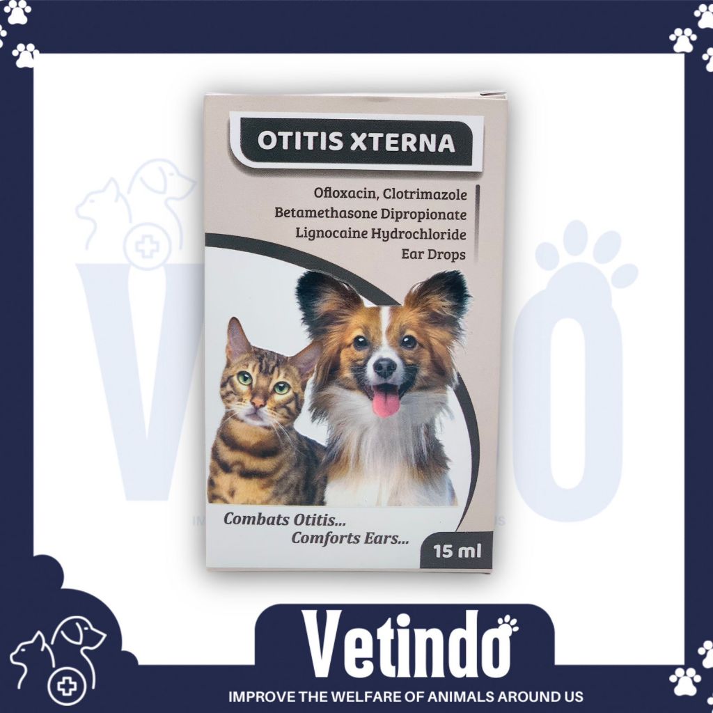 Harga otitis xterna Terbaru Nov 2025 | BigGo Indonesia